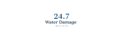 24/7 Water Damage logo