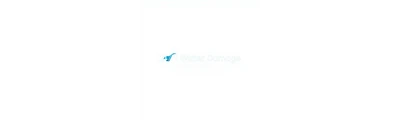 24/7 Water Damage logo
