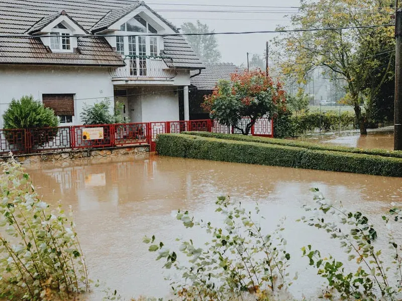 service extraction service extraction waterdamageextraction
