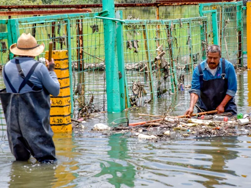 service extraction service extraction waterdamageextraction