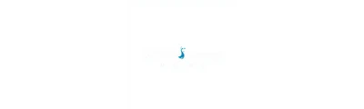 24/7 Water Damage logo
