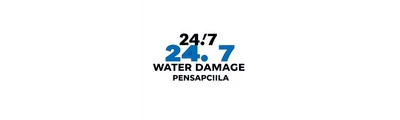24/7 Water Damage logo